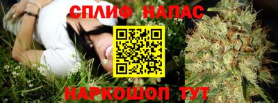 гашик Краснознаменск