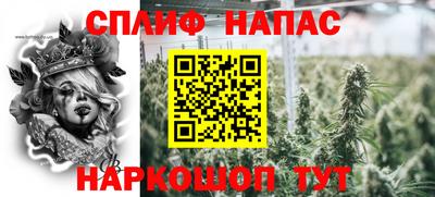 гашик Краснознаменск